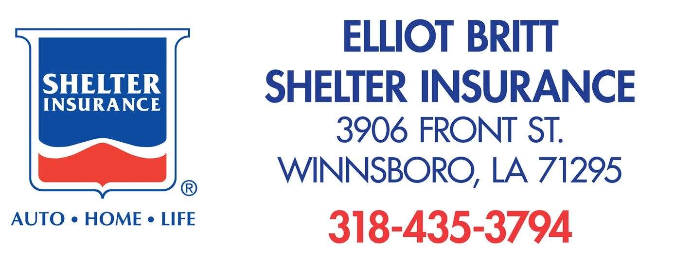 Shelter Ins